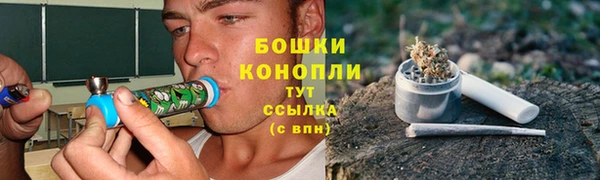 Альфа ПВП Горнозаводск