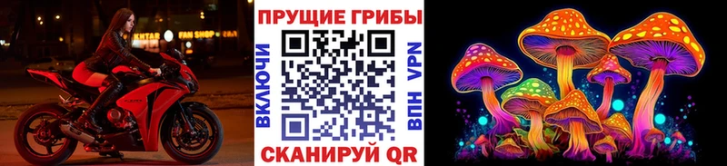 Псилоцибиновые грибы ЛСД Купить где Ивдель
